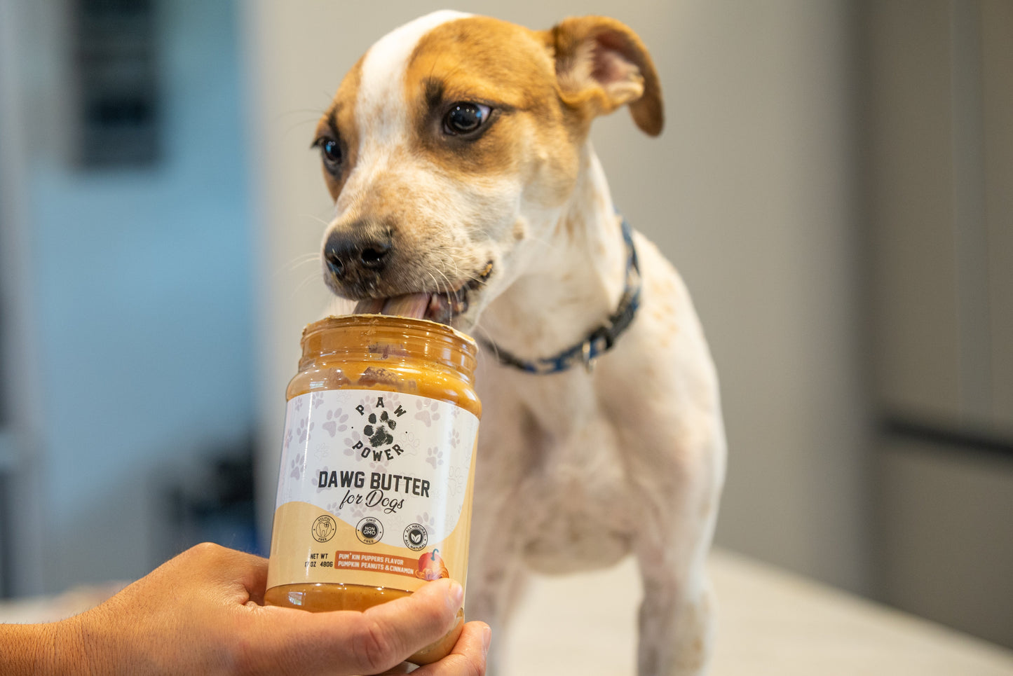 Pumpkin Dog Treat Butter (Healthy & Tasty)