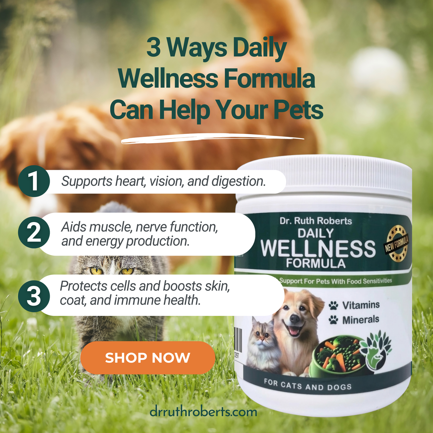 Daily Pet Wellness Formula (Allergy Support)