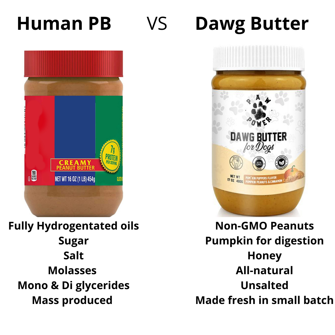 Pumpkin Dog Treat Butter (Healthy & Tasty)