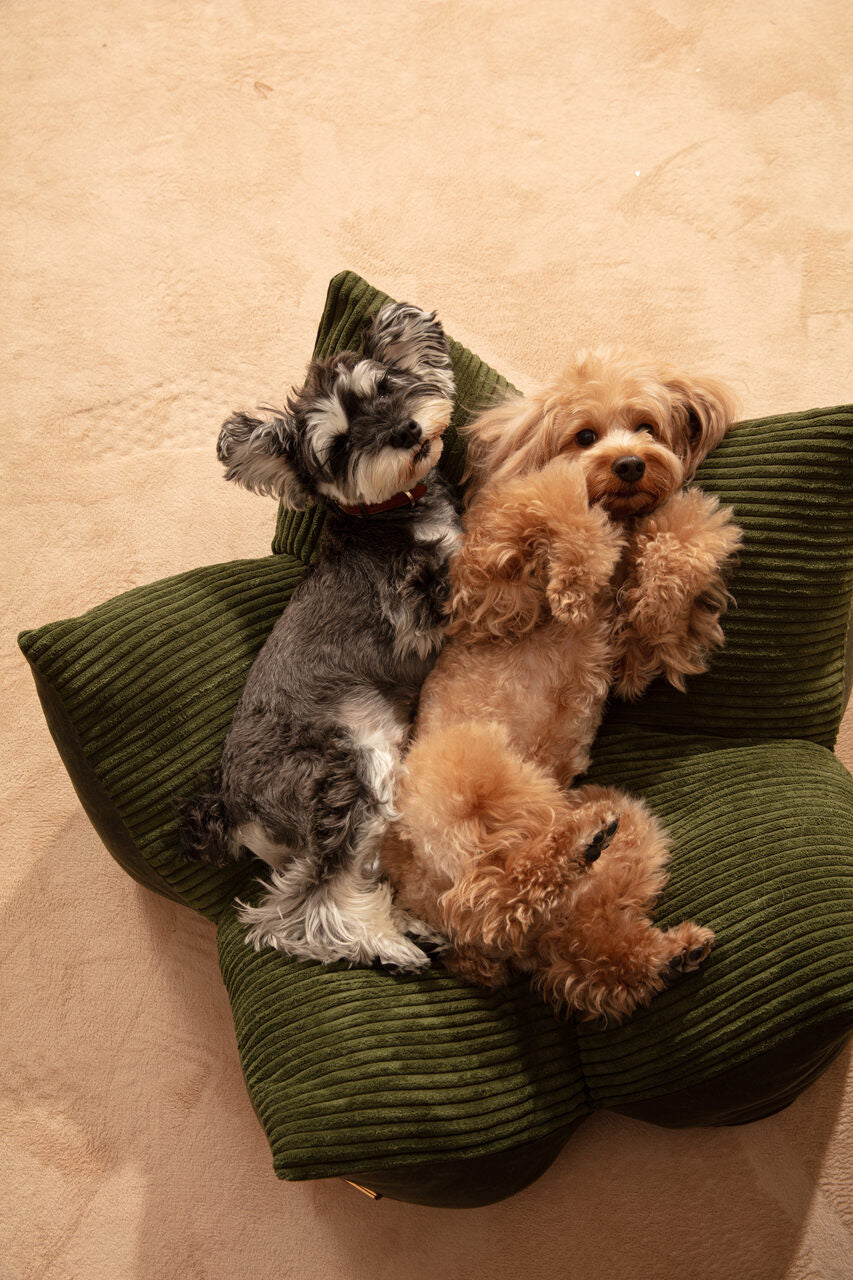 Calming Cuddle Pet Bed (Ultra Soft & Cozy)